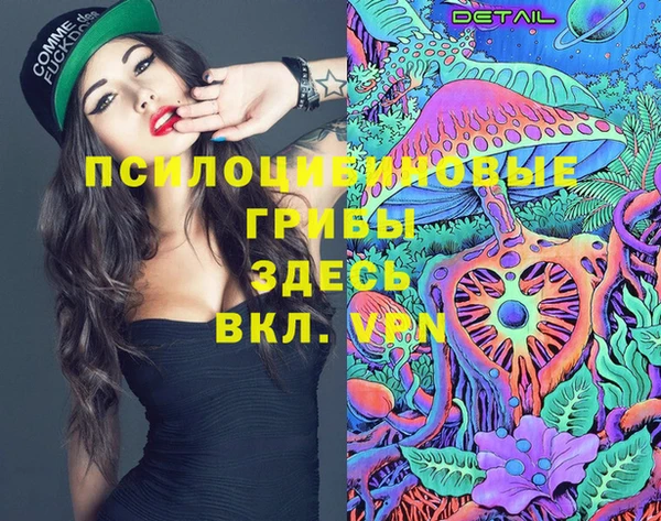 трава Аркадак